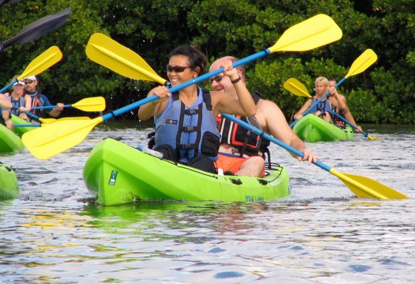 Kayaking Eco Tour